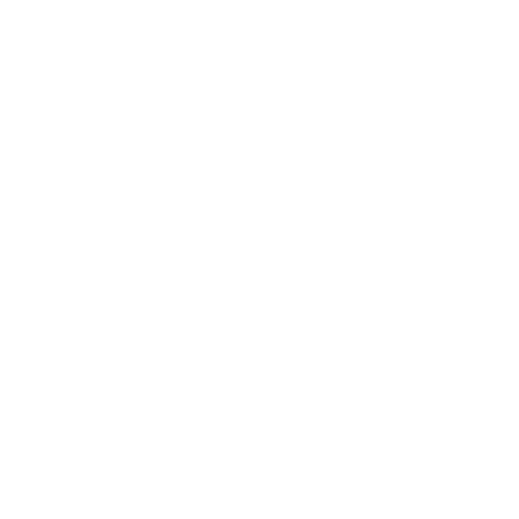 SITE 5 logo terra